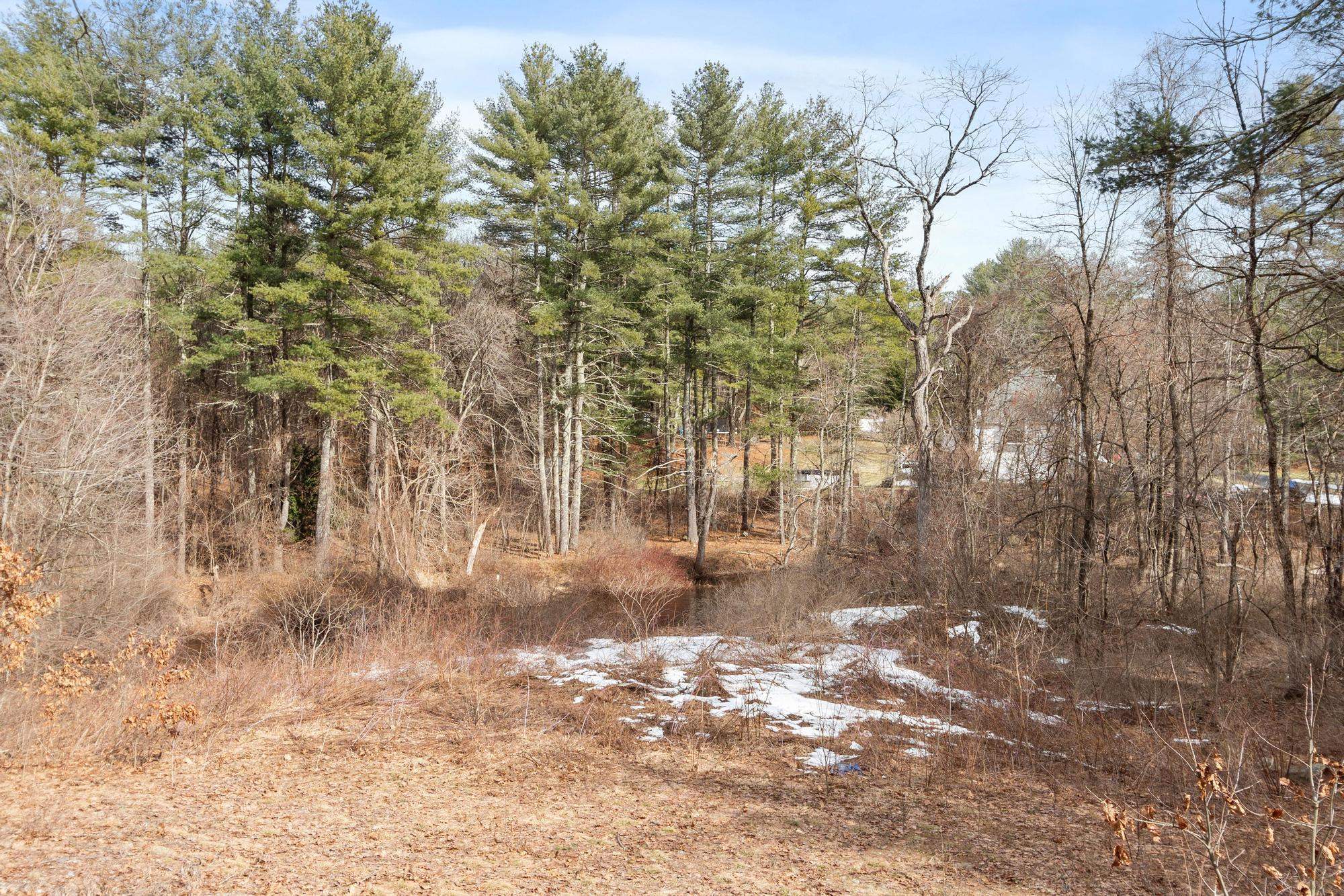 1256 Mammoth Road Pelham, NH 03076 - Photo 46 of 51