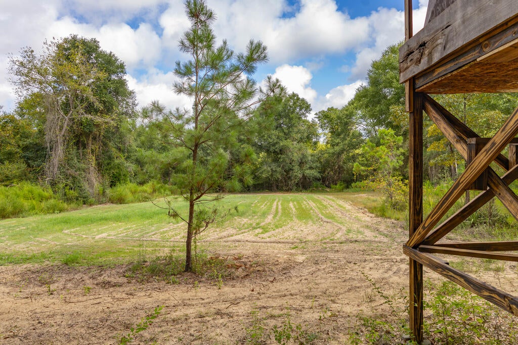 1195 Power Dam Road Newton, AL 36352 - Photo 76 of 87 Gallery Image 76