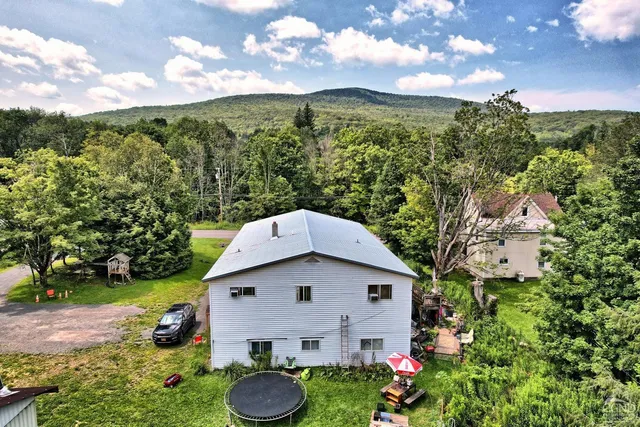 a view of a backyard with plants and a garden