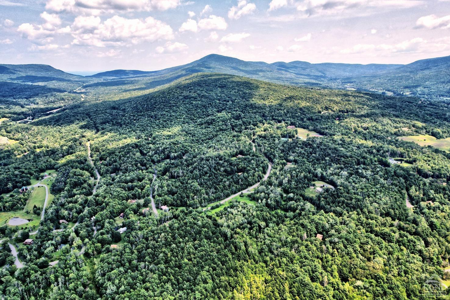 41 County Road 40 Windham, NY 12439 - Photo 22 of 36 a view of a mountain range with lush green forest