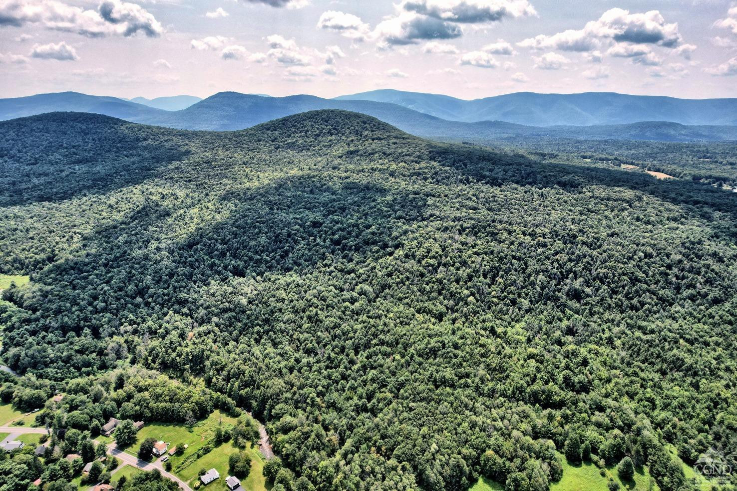 41 County Road 40 Windham, NY 12439 - Photo 24 of 36 a view of a lush green mountain