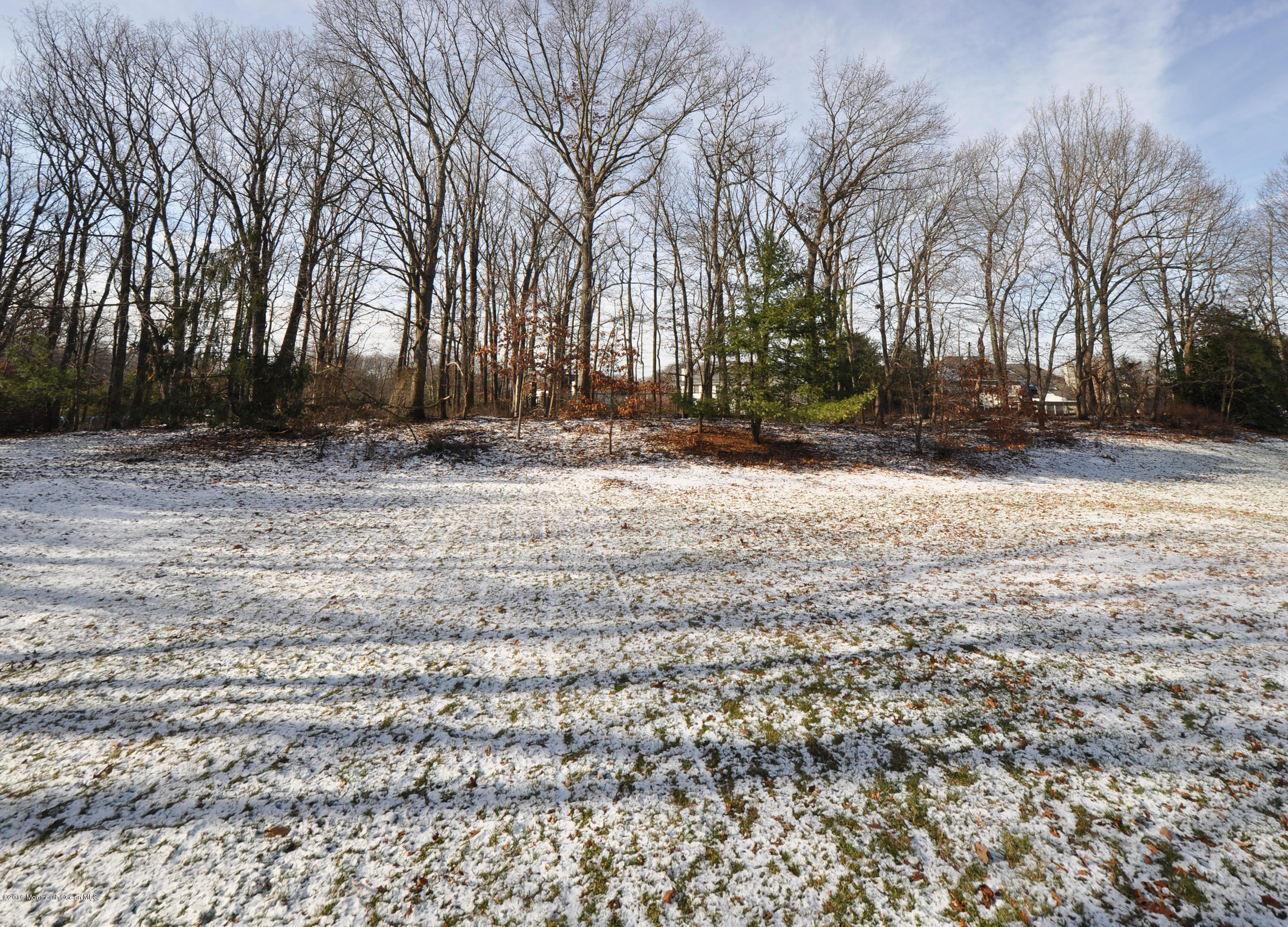 33 Millay Road Morganville, NJ 07751 - Photo 29 of 35 30MillayOutside4