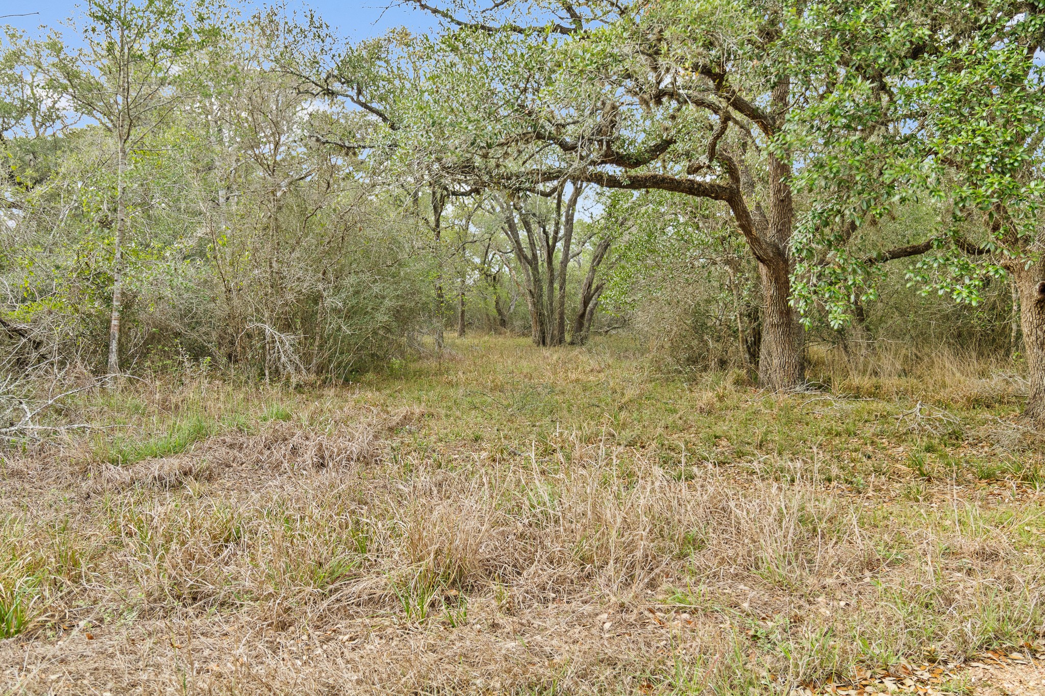 6 Fm 530 Edna, TX 77957 - Photo 3 of 27 a view of a yard