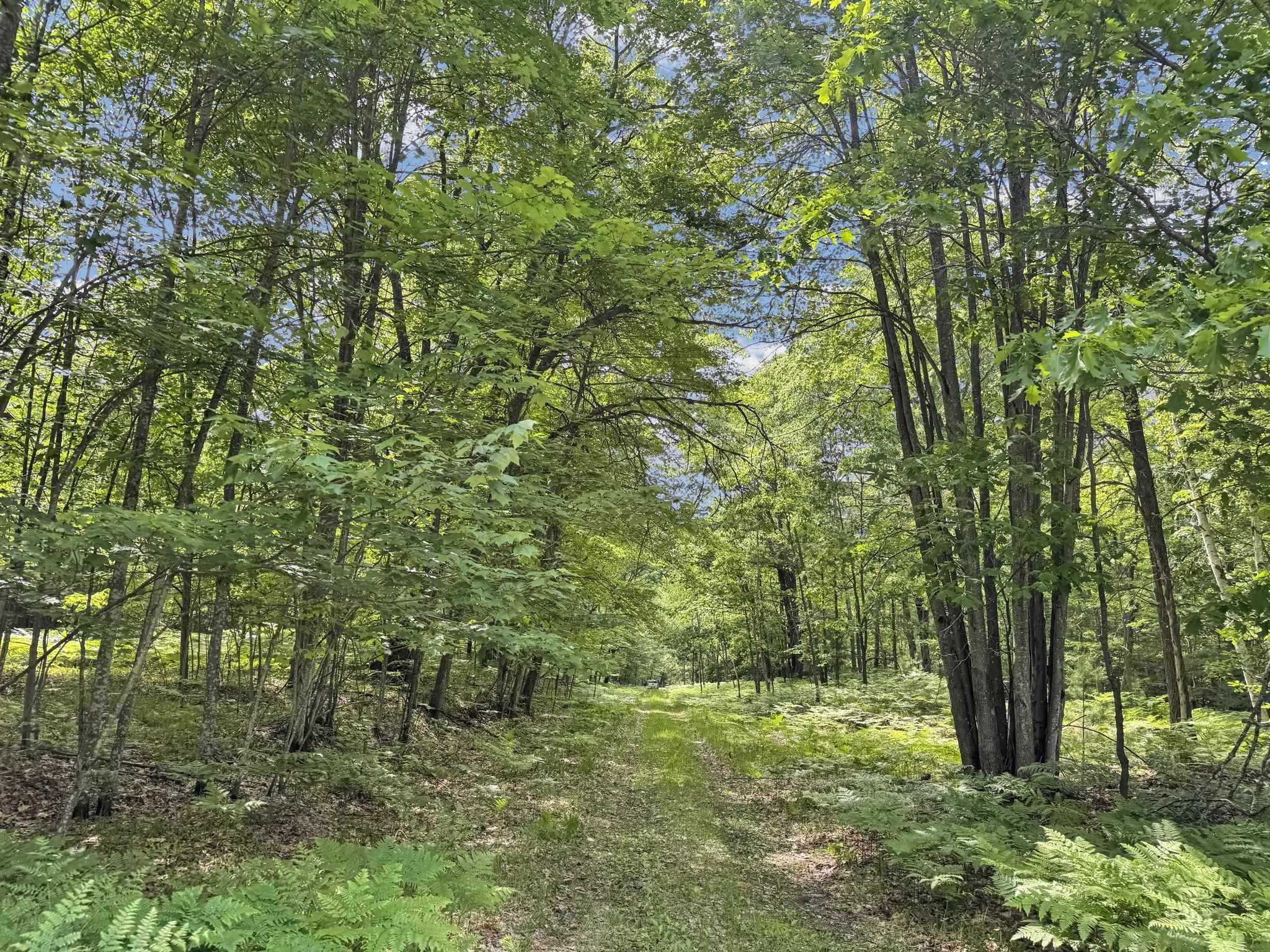 Parcel A Seeley Road Lake City, MI 49651 - Photo 11 of 16