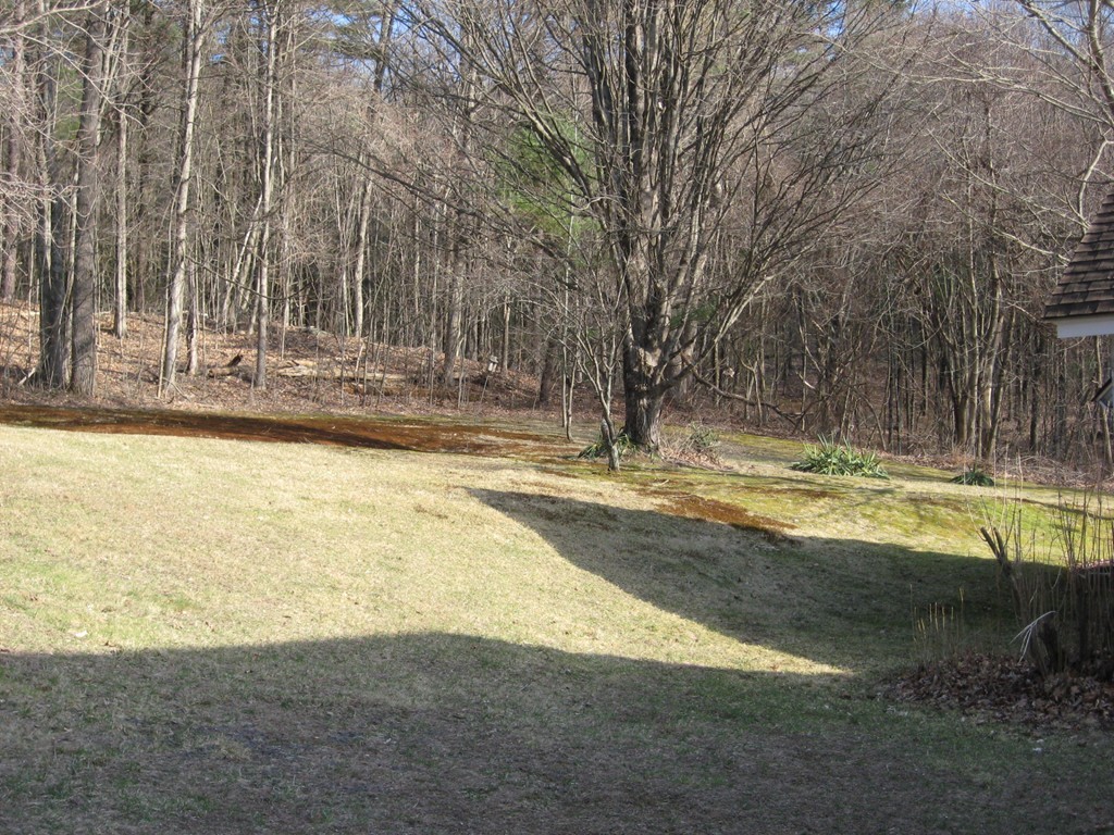 437 Millers Falls Road Northfield, MA 01360 - Photo 8 of 21 Gallery Image 8