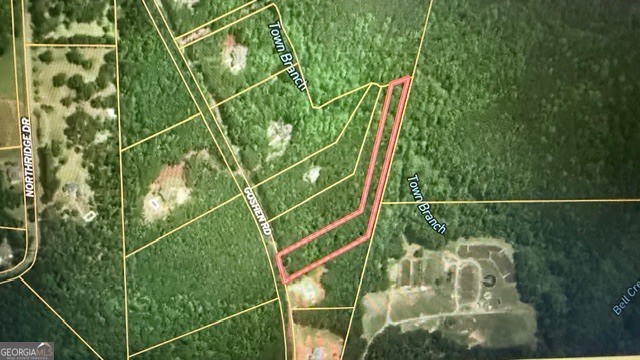0 Goshen Road Thomaston, GA 30286 - Photo 2 of 18 a view of a yard