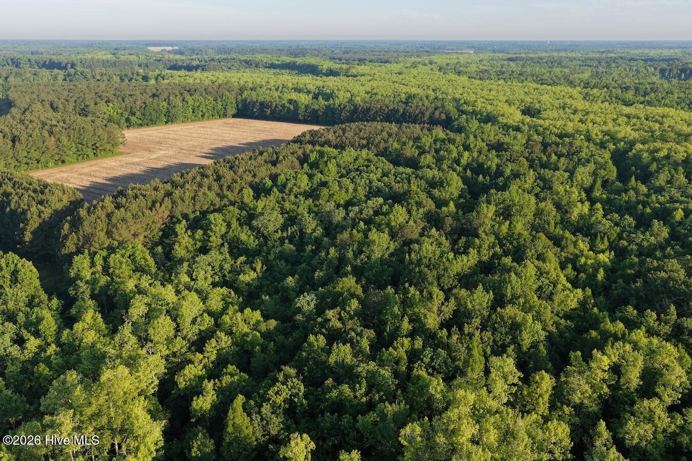 0 Kirkman Road Robersonville, NC 27871 - Photo 15 of 31 21