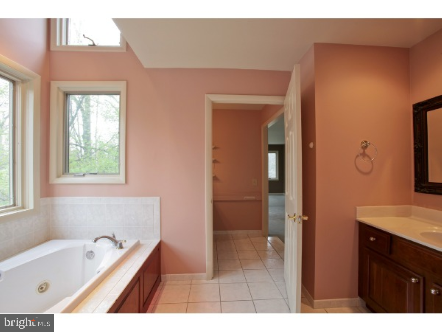 171 Almshouse Road Doylestown, PA 18901 - Photo 17 of 25 Master Bathroom