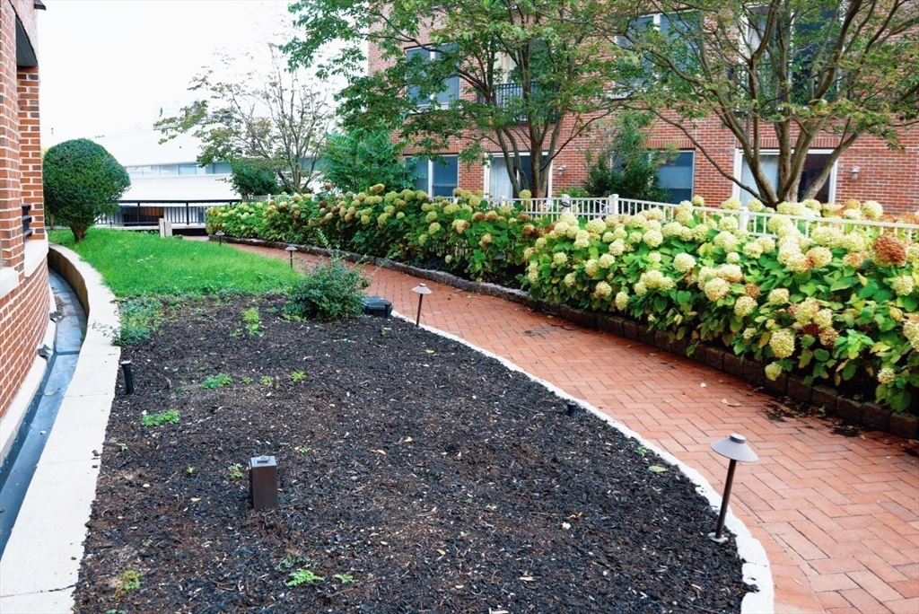110 Cypress Street, Unit 307 Brookline, MA 02445 - Photo 20 of 24 a view of a garden with plants and large trees