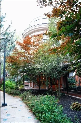 a view of a back yard