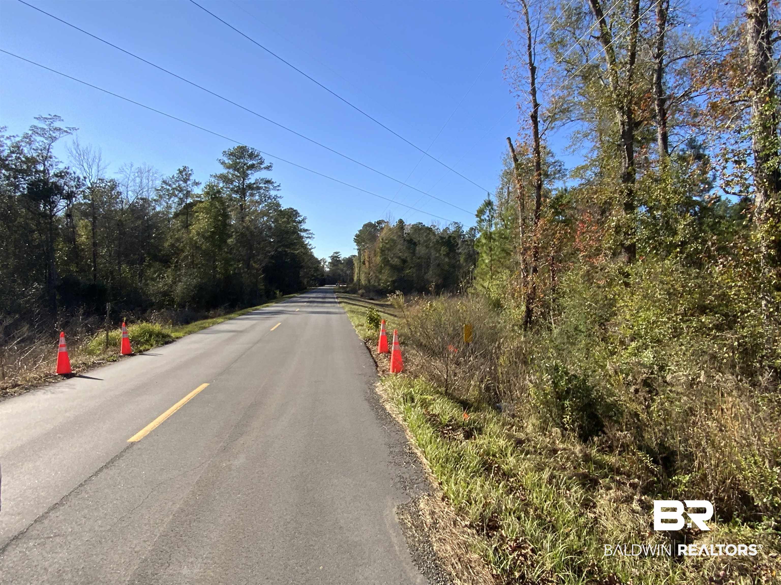 10 Drinkard Road Bay Minette, AL 36507 - Photo 15 of 16 View of asphalt road with a wooded view