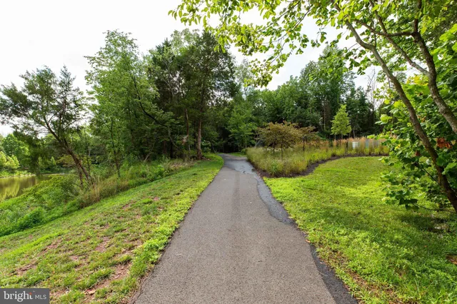 a park view with a bench and trees