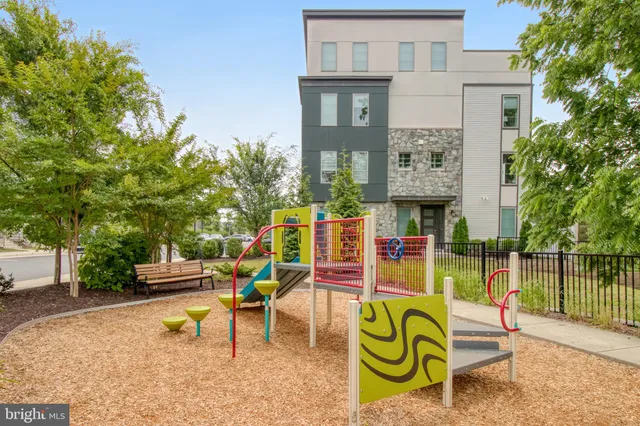 a view of a park with a tree