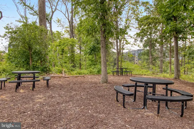 a view of a lake with a large trees