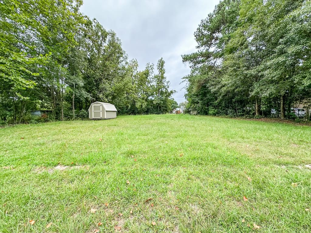0 Hart Street Geneva, AL 36340 - Photo 1 of 5