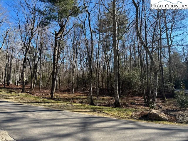 $139,000 | Lot W25 Tioga Trail, Glenville, NC 28736
