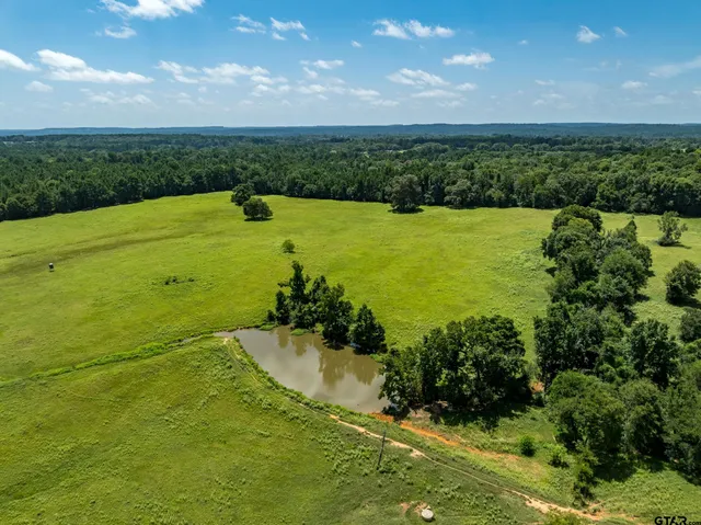 a view of a lake from a yard