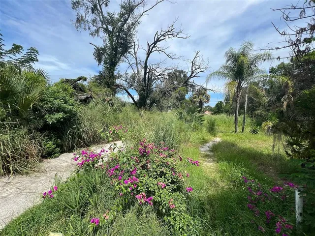 a backyard of a house with lots of green space and trees all around