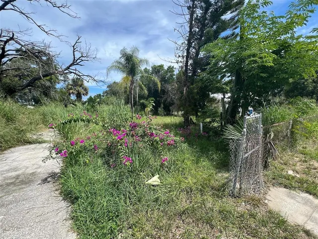 a view of a flower in a garden