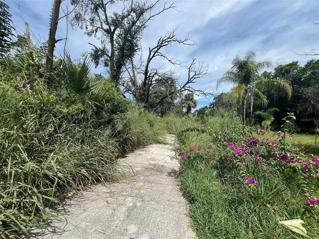 a view of a pathway with a flower garden