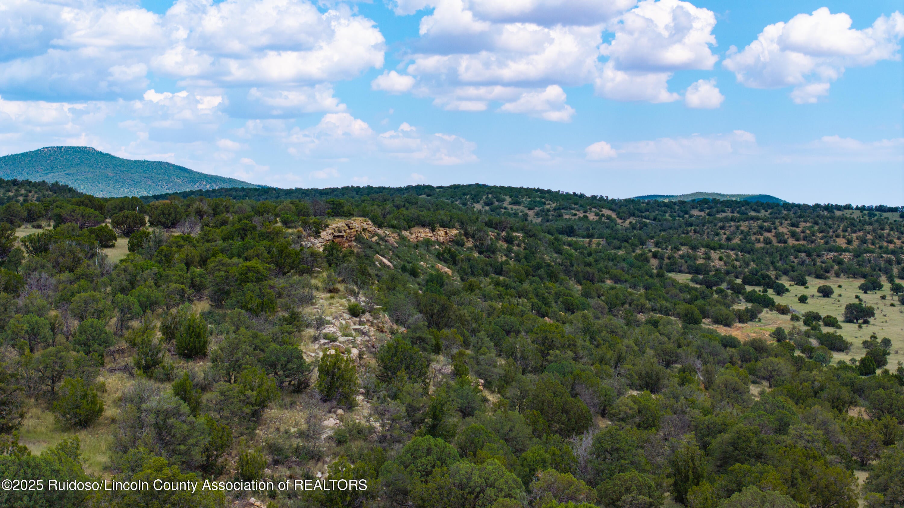 331 Pine Lodge Road Capitan, NM 88316 - Photo 152 of 156 Gallery Image 152