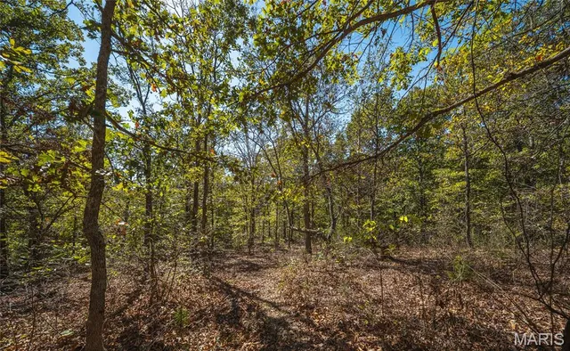 $229,900 | 108 Graham Road, Steelville, MO 65565