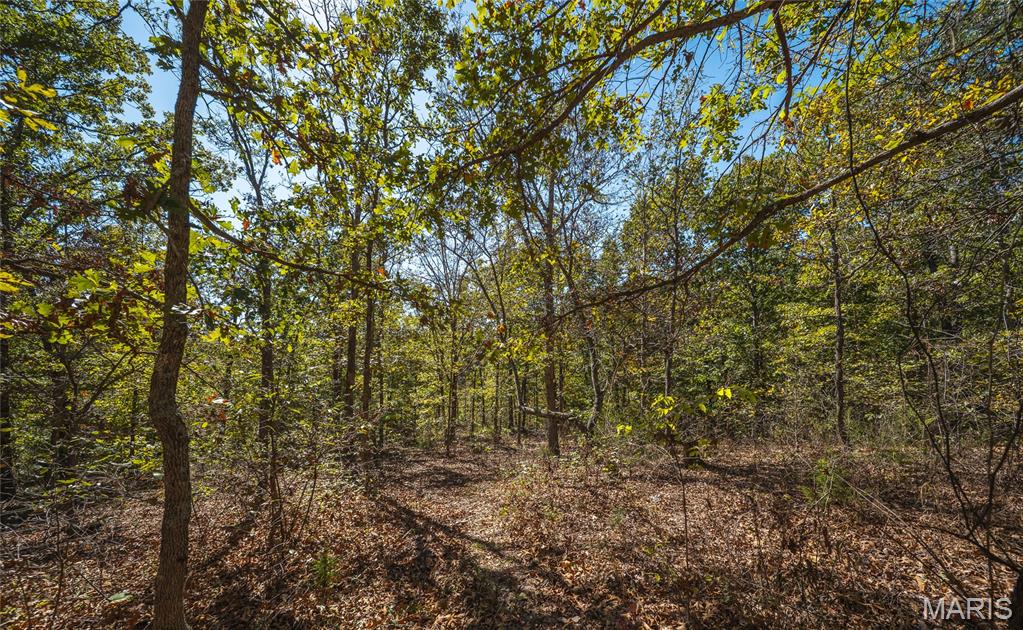 108 Graham Road Steelville, MO 65565 - Photo 33 of 42