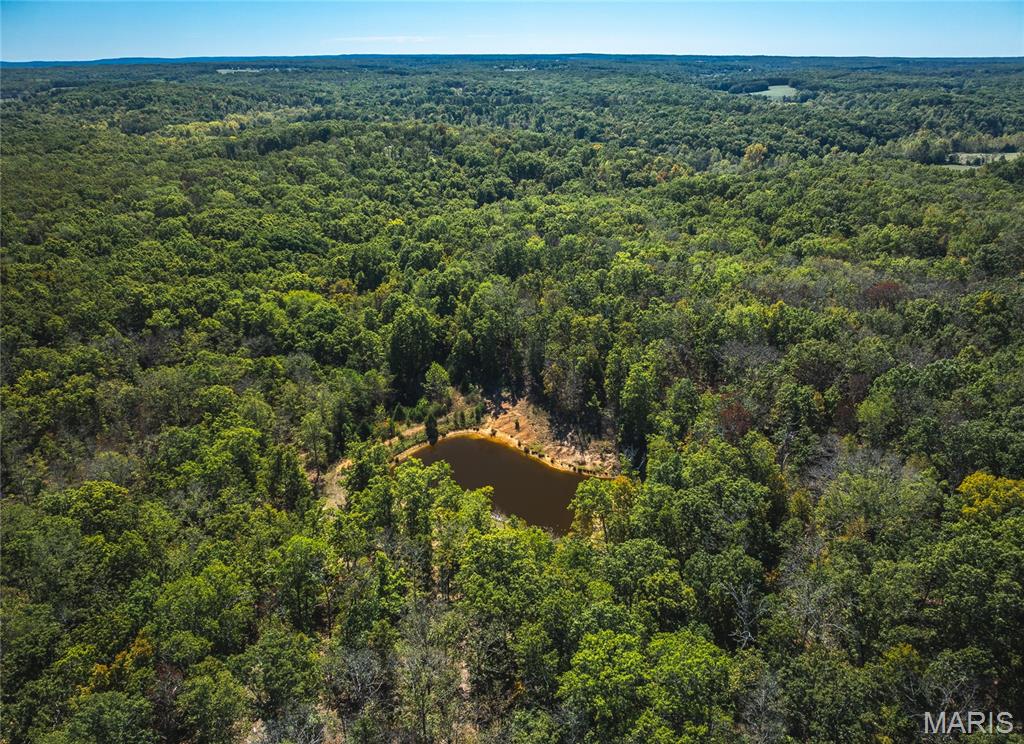 108 Graham Road Steelville, MO 65565 - Photo 36 of 42