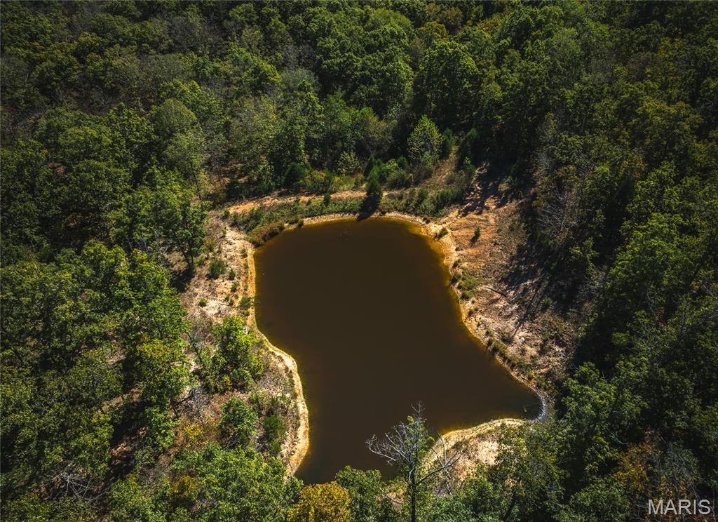 108 Graham Road Steelville, MO 65565 - Photo 37 of 42