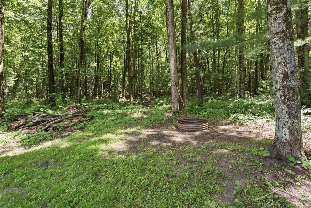 203 West Sampson Road Sanford, MI 48657 - Photo 25 of 29