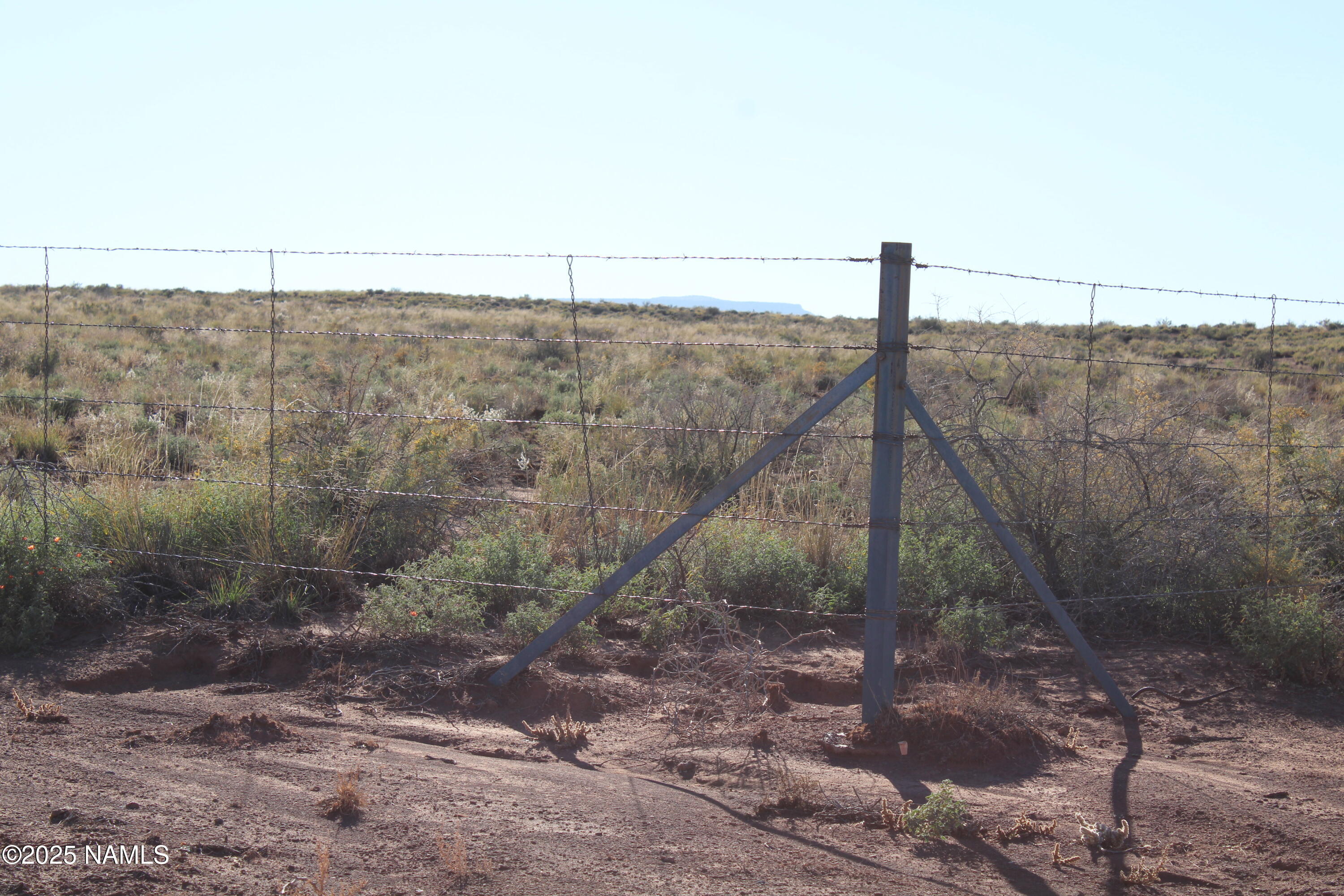 148 Red Dog Road Winslow, AZ 86047 - Photo 2 of 28 a view of a forest