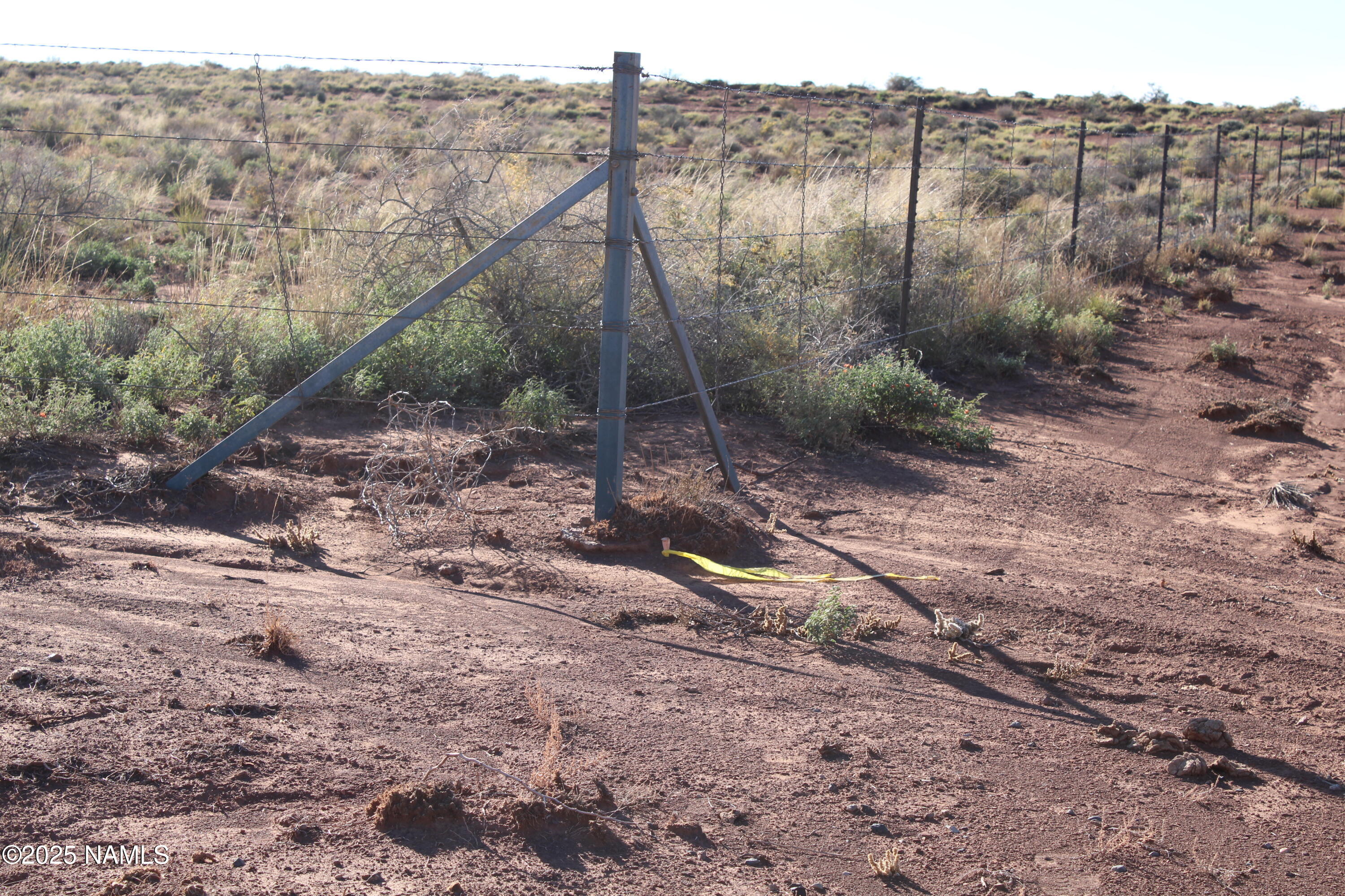 148 Red Dog Road Winslow, AZ 86047 - Photo 5 of 28 a view of a forest with a yard