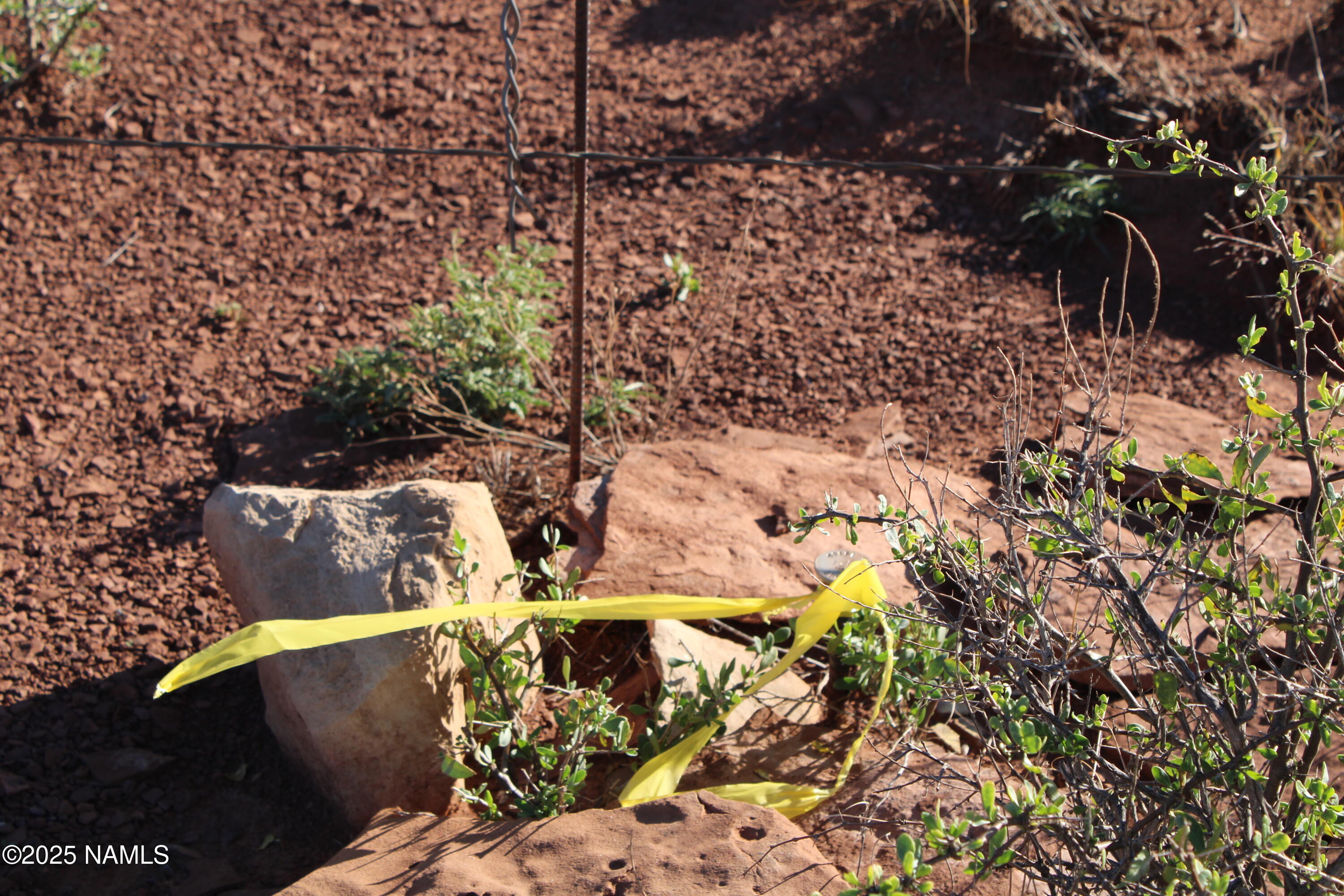 148 Red Dog Road Winslow, AZ 86047 - Photo 7 of 28