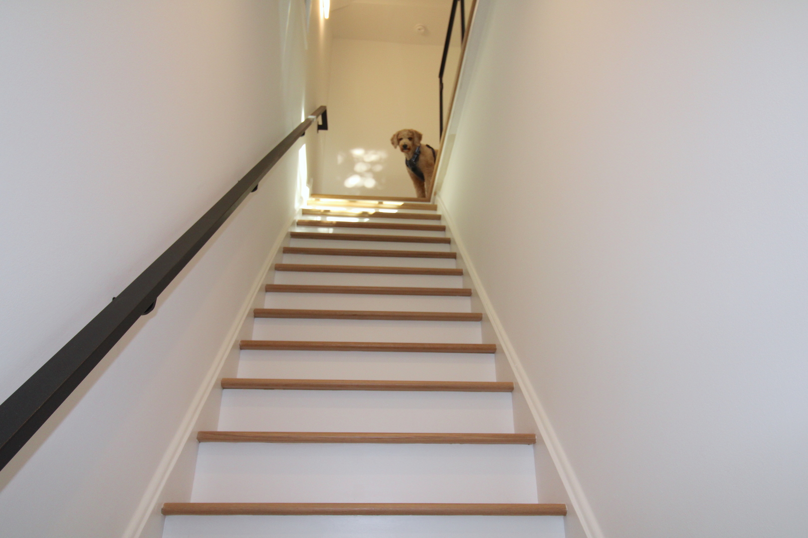 933 North Ashland Avenue, Unit 2F Chicago, IL 60622 - Photo 2 of 45