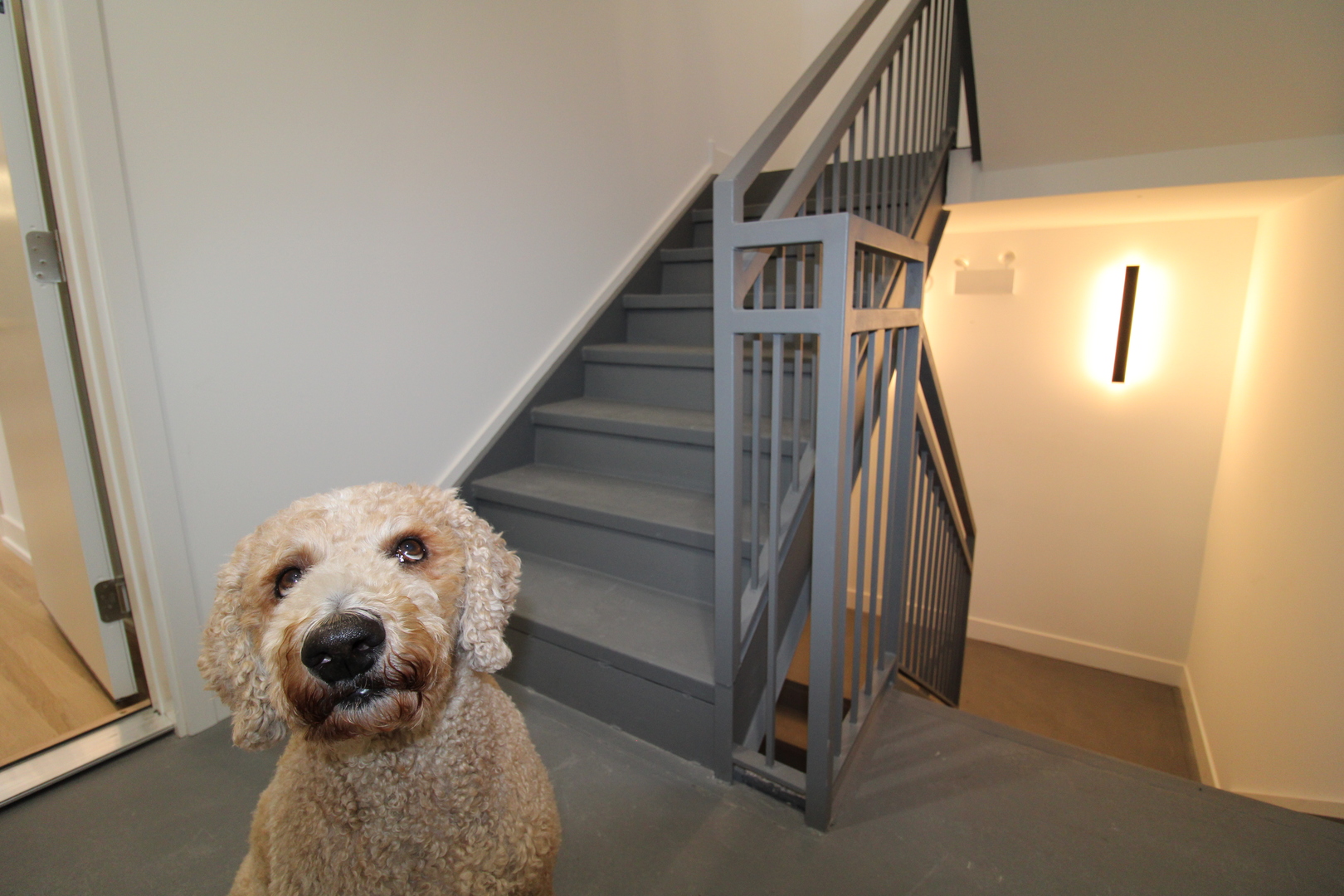 933 North Ashland Avenue, Unit 2F Chicago, IL 60622 - Photo 40 of 45