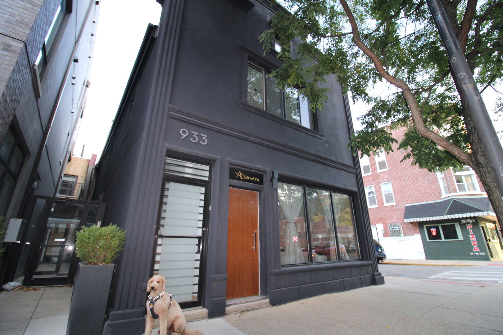 933 North Ashland Avenue, Unit 2F Chicago, IL 60622 - Photo 45 of 45