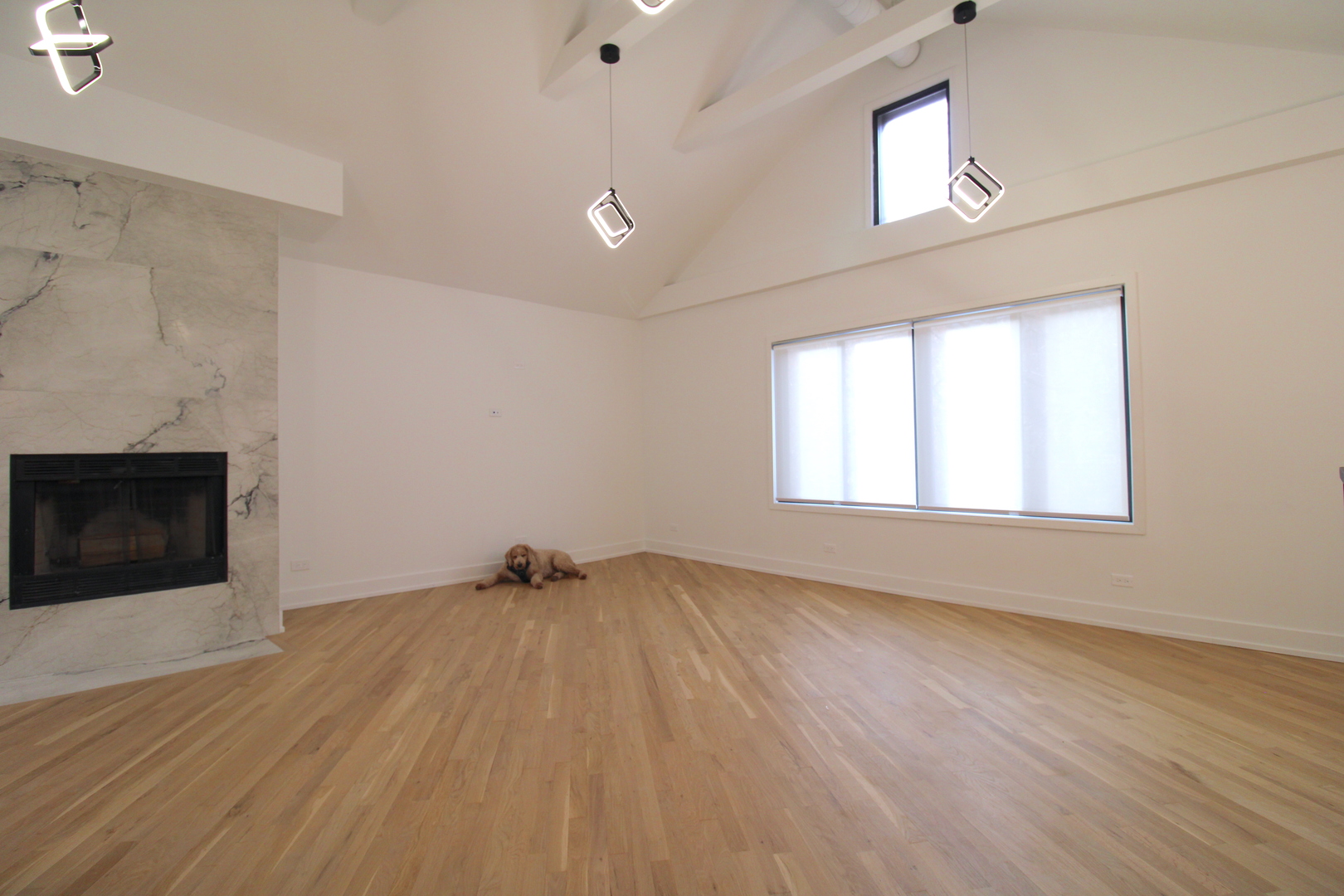 933 North Ashland Avenue, Unit 2F Chicago, IL 60622 - Photo 7 of 45