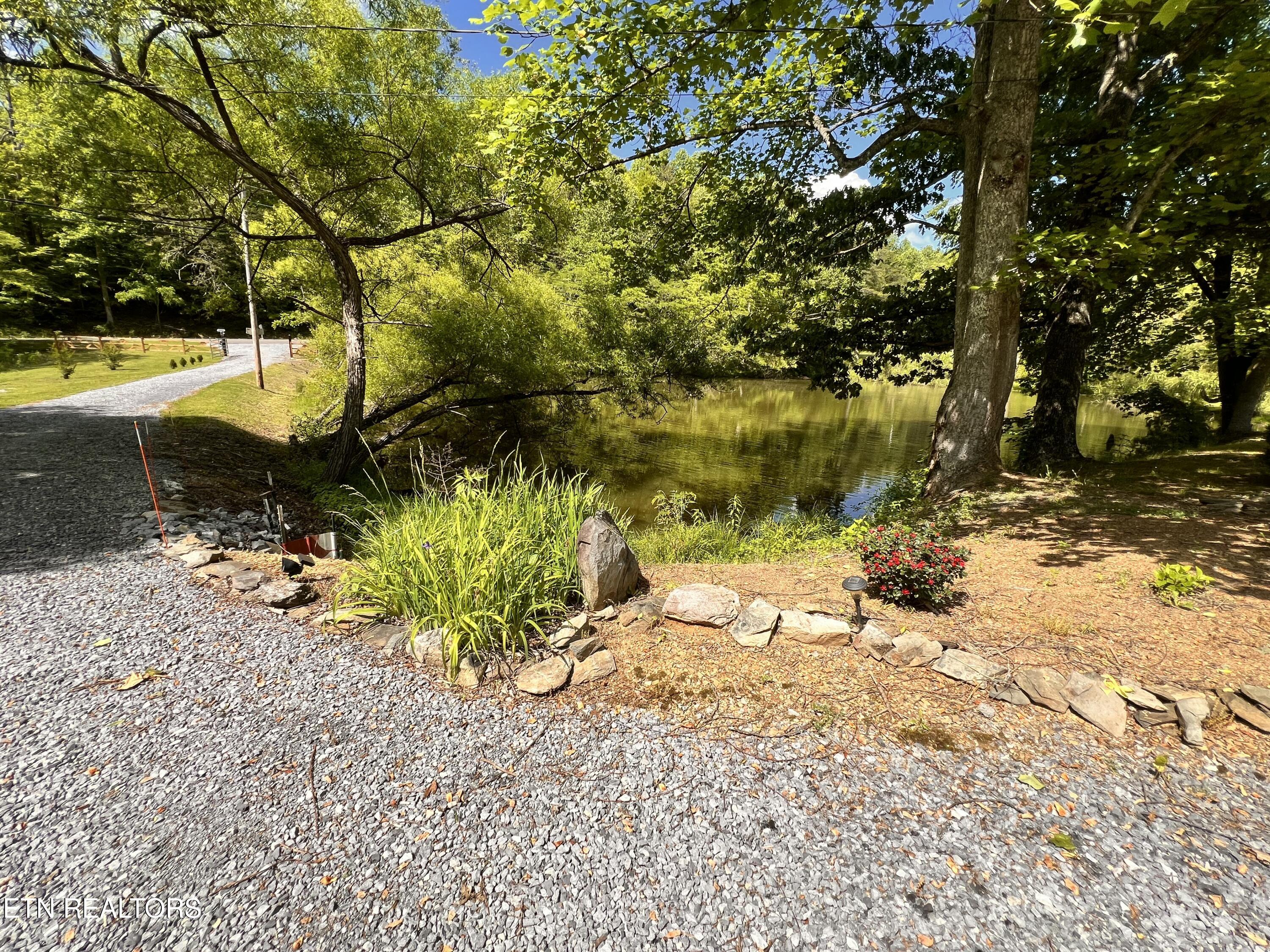 4040 Trail Hollow Road Cosby, TN 37722 - Photo 50 of 60 IMG_7426