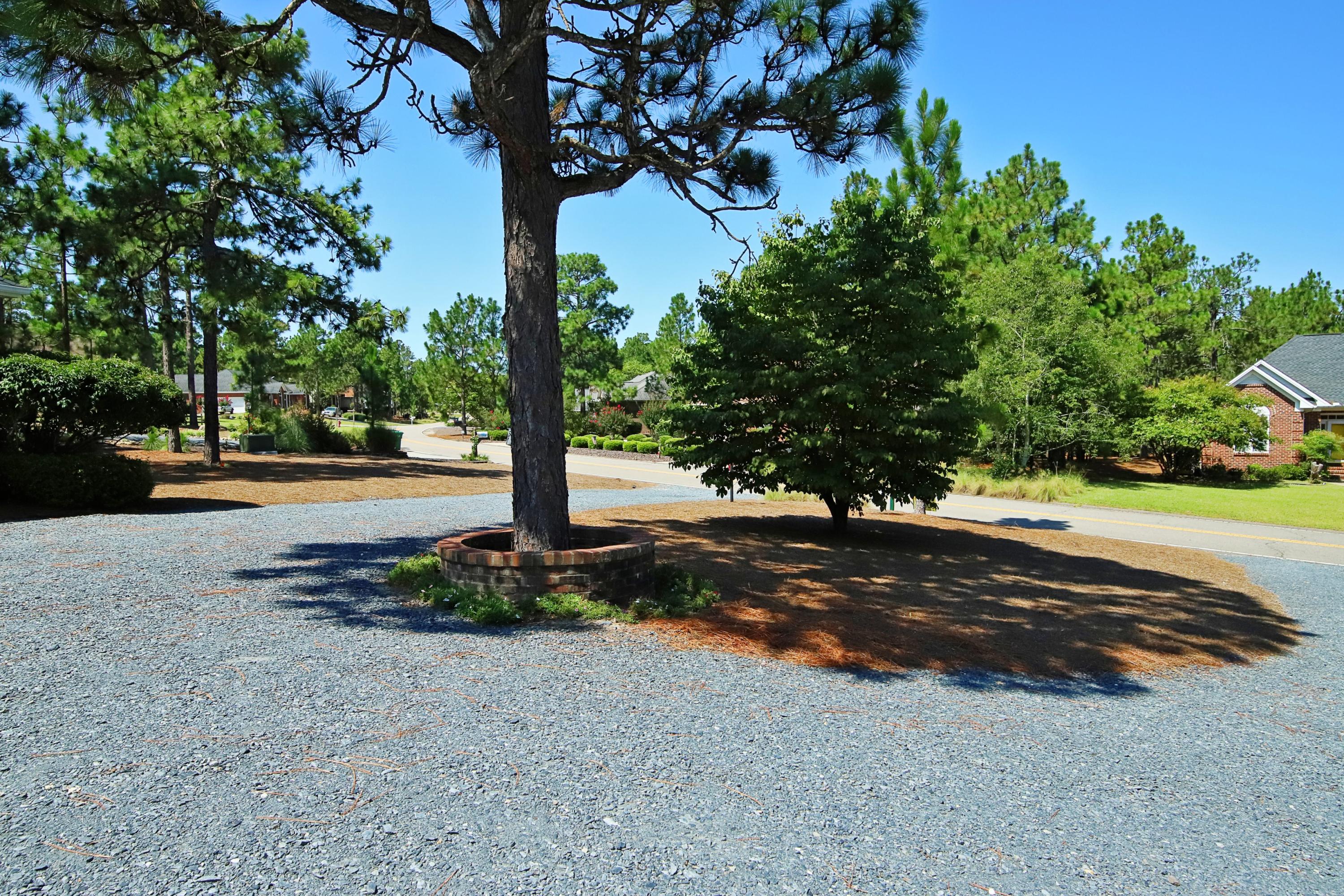 405 Old Mill Road Savannah, GA 31419 - Photo 3 of 45 4CircularDrive