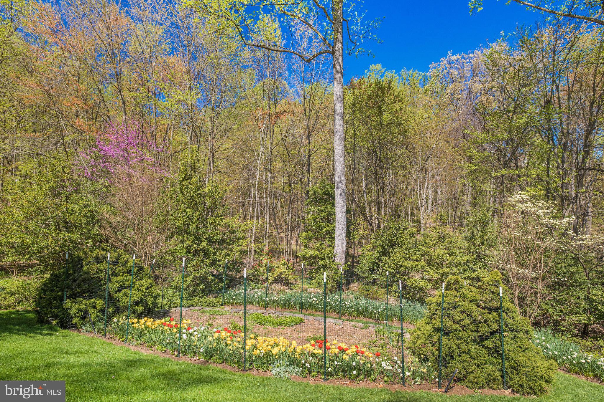 1227 Tottenham Court Reston, VA 20194 - Photo 44 of 55