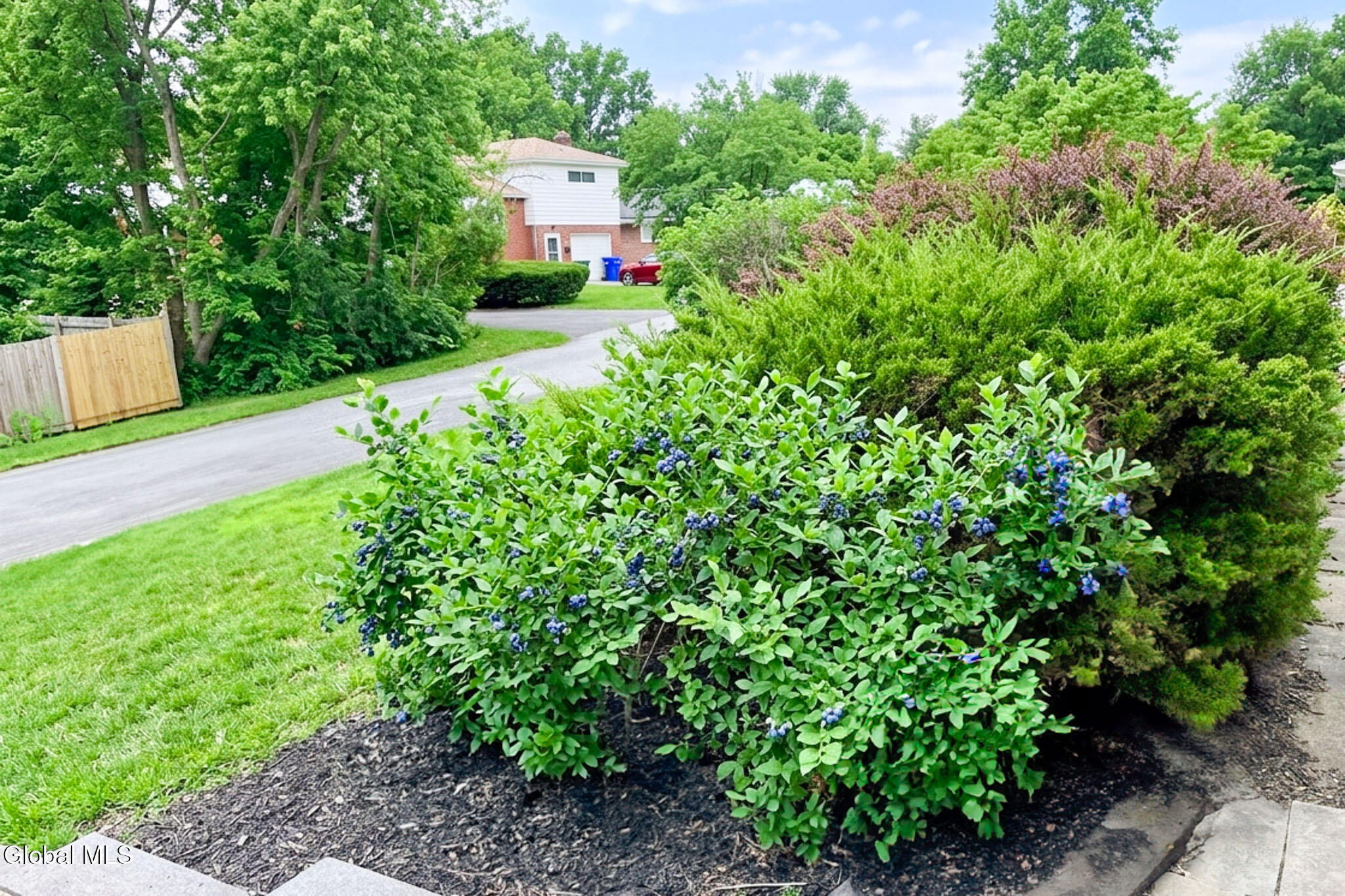 31 Freeman Road Albany, NY 12208 - Photo 26 of 27 Non-Logo-15-2