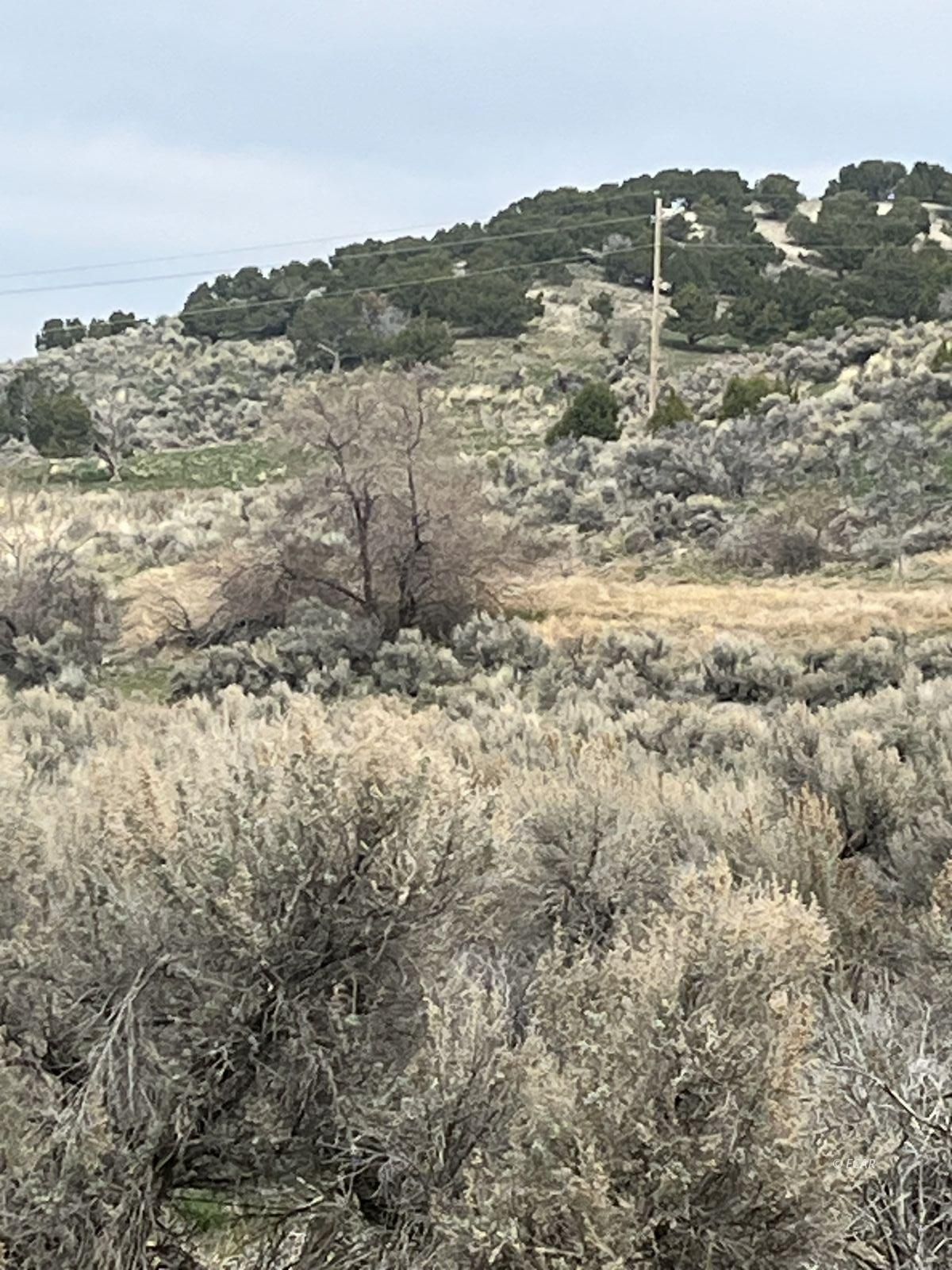 Lower Lamoille/hog Tommy Rd Spring Creek Spring Creek, NV 89815 - Photo 7 of 9