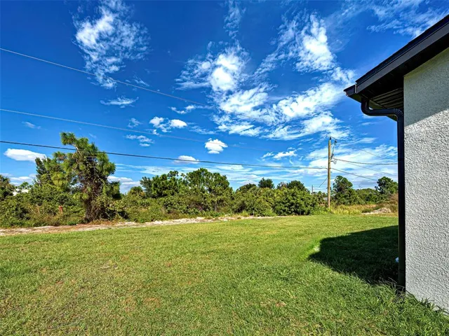 a view of a garden with a tree