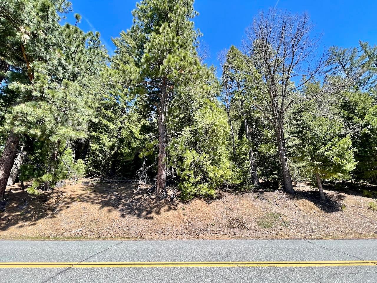 8 Acres Deetz Road Mount Shasta, CA 96067 - Photo 6 of 10 Gallery Image 6