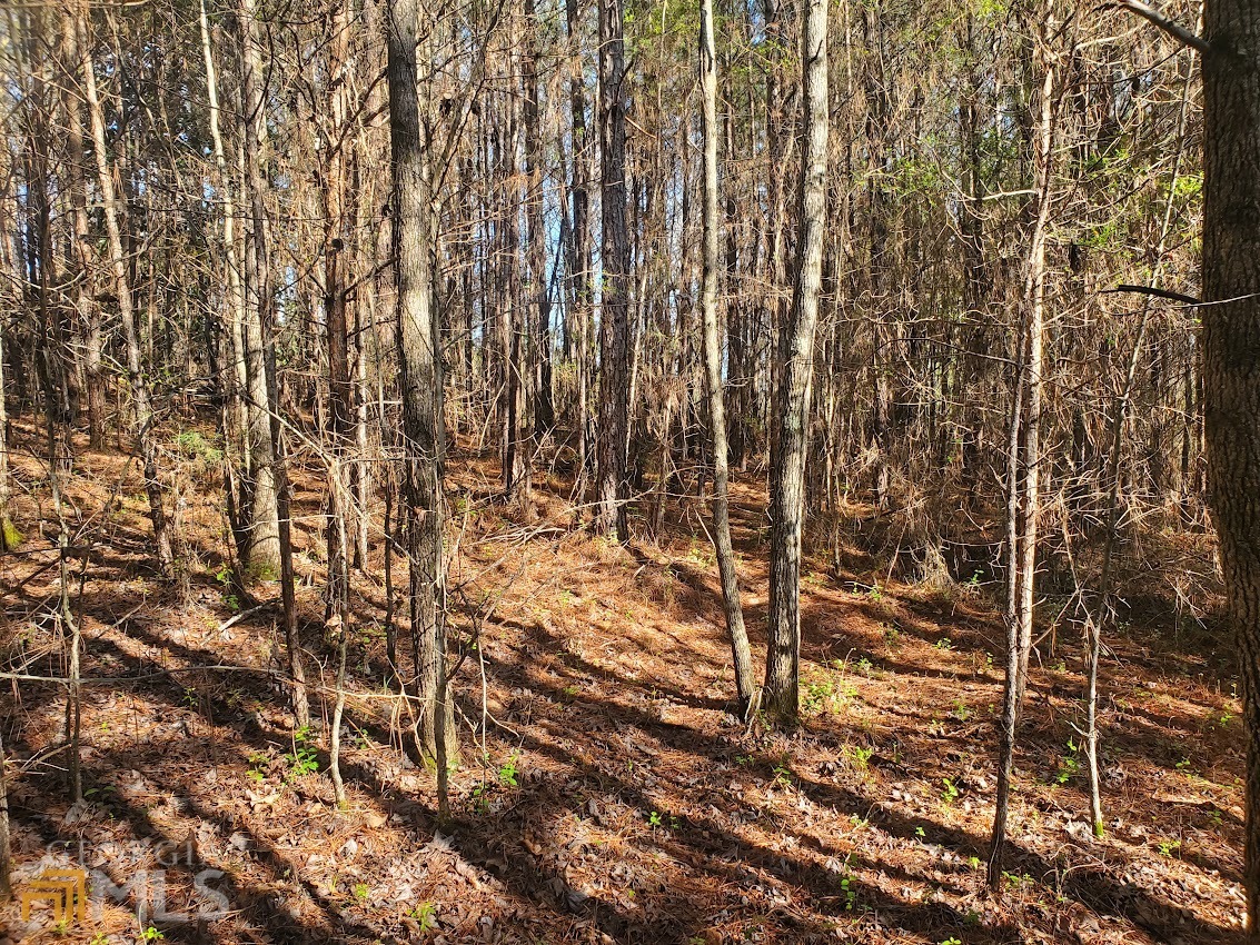0 Heather Circle Cave Spring, GA 30124 - Photo 1 of 1 Gallery Image 1