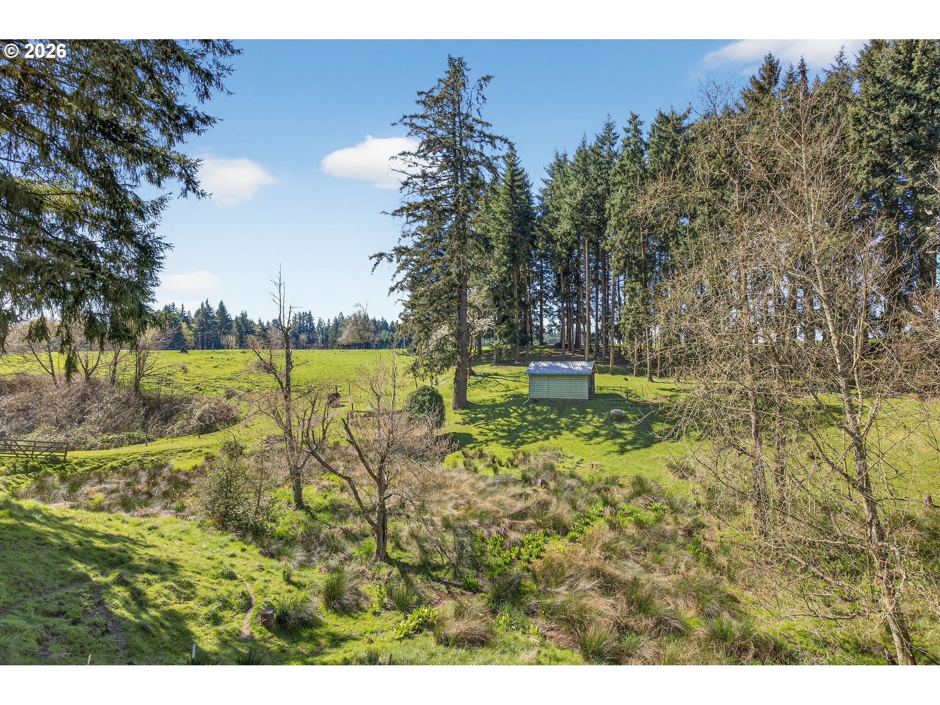 17765 Monnier Road Northeast Hubbard, OR 97032 - Photo 44 of 48 a view of a lake with a big yard