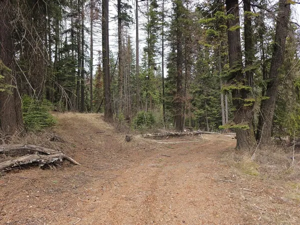 $239,000 | 1709 West Mountain Road, Unit 5A43, Cascade, ID 83611