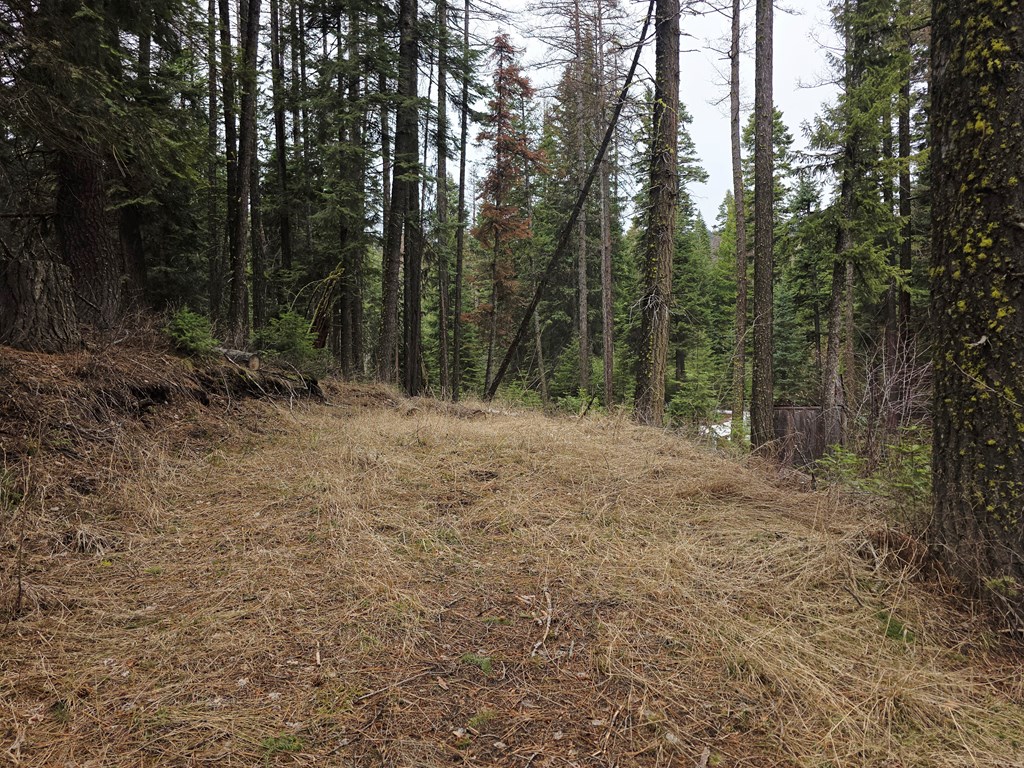 1709 West Mountain Road, Unit 5A43 Cascade, ID 83611 - Photo 3 of 5