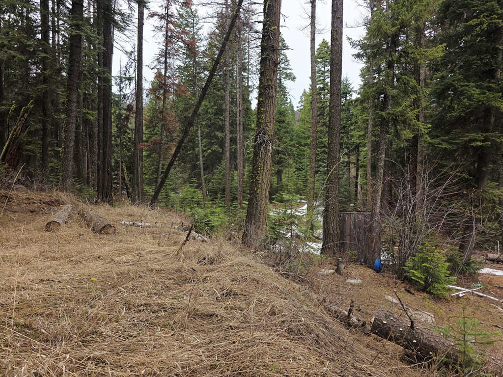 1709 West Mountain Road, Unit 5A43 Cascade, ID 83611 - Photo 5 of 5