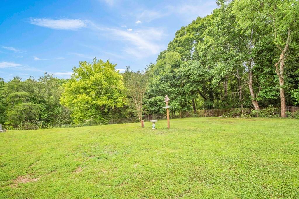 542 Bill Miller Road Spring City, TN 37381 - Photo 40 of 40 40
